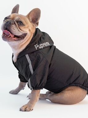 The Dog Face Beauty In Simplicity Waterproof Dog Raincoat Hood Black XL